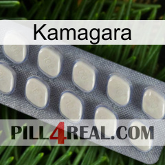 Kamagara 08
